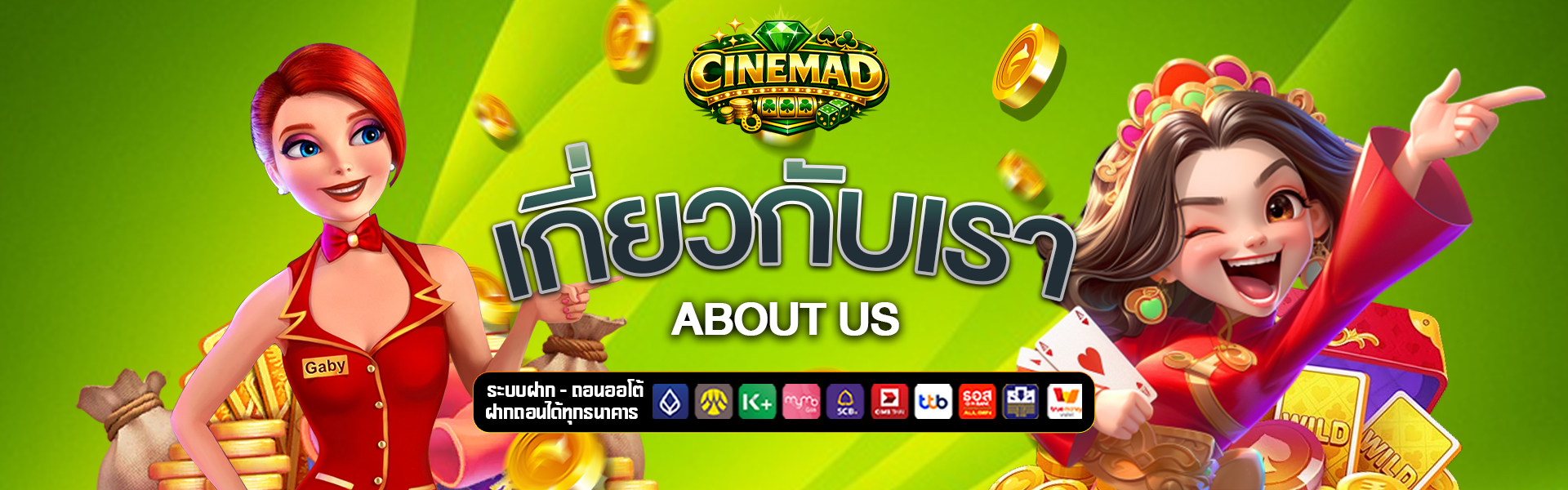 เกี่ยวกับเรา cinema-d